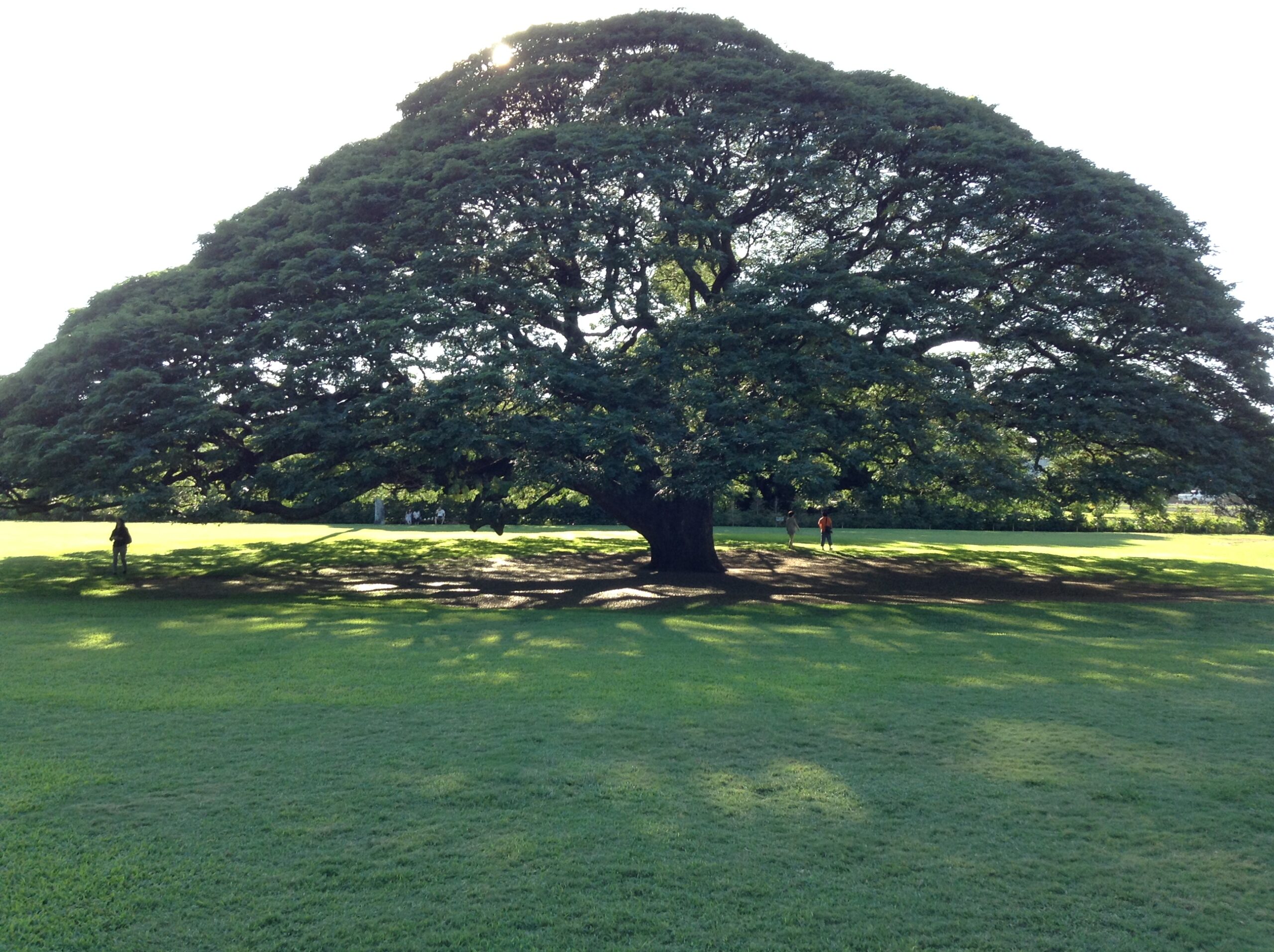 スクール卒業後のサポート
